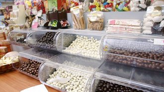 低糖＆低脂肪で健康効果 南米で「薬用チョコレート」発売間近