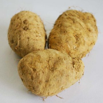 沖縄県のクーガ芋