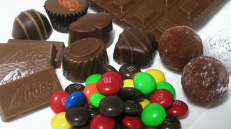 チョコが心臓病予防になるって本当？