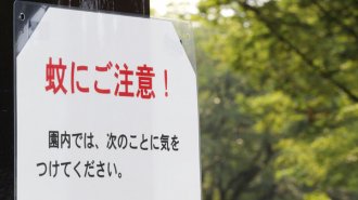 虫除け剤の成分を高濃度に 日本の「蚊対策」が本格始動？