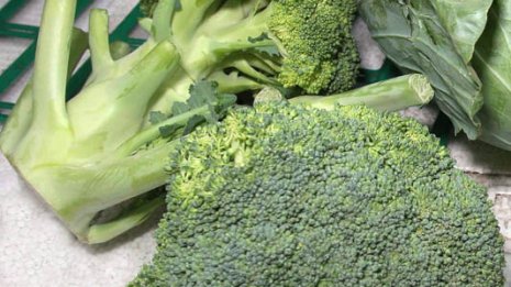 うつ病も防ぐと話題 “万能野菜”ブロッコリーの実力