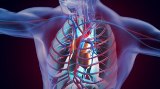 【血管拡張ホルモン】ポンプ役の心臓は内分泌臓器でもある