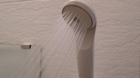 専門誌に論文 細菌が繁殖しやすいシャワーは病気になる？
