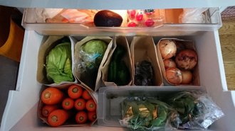 野菜保存をイチから見直す 疲労回復への冷蔵庫レイアウト