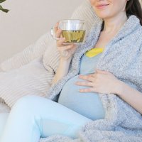 米論文で報告「妊婦のハーブ製品使用は安全」は本当なのか