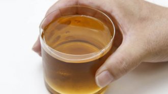 ミネラル豊富というが…「麦茶が熱中症に良い」は本当か？