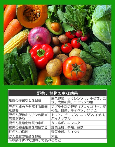 野菜、植物の主な効果