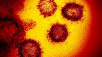 新型コロナウイルスは致死率9％のSARSと何が違うのか？