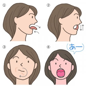 ①舌の前後運動 ②上下運動 ③回転運動 ④舌やあごの運動