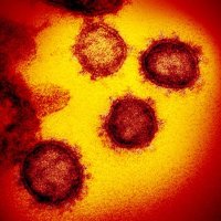 新型コロナウイルスに対する心理的影響は性格による？