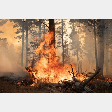 山火事が広がるオレゴン州フリーモント国有林