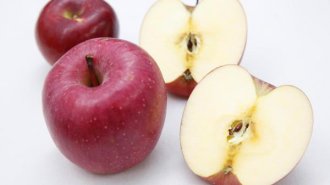 リンゴには100種類の若返り成分ポリフェノールが含まれる
