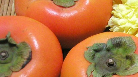 柿には風邪防止に役立つビタミンCがミカンの2倍以上も