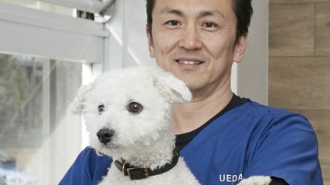 犬・猫の外科治療にも力を入れる 先天性の遺伝病治療も