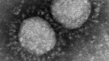 新型コロナウイルス変異株はどれくらい危険か 専門誌で解析