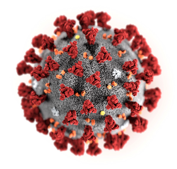 RNAウイルスは変異し続ける（コロナウイルスのイメージ）　