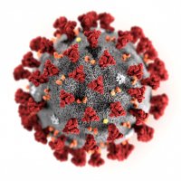 二重変異株も出現…なぜウイルスは変異を起こすのか？
