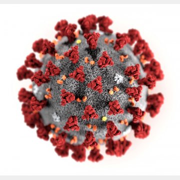 RNAウイルスは変異し続ける（コロナウイルスのイメージ）　