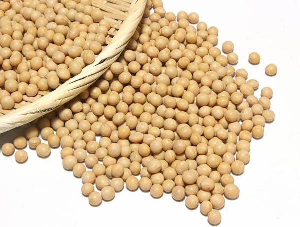 大豆に含まれる「大豆レシチン」が肝臓でコリンに合成される