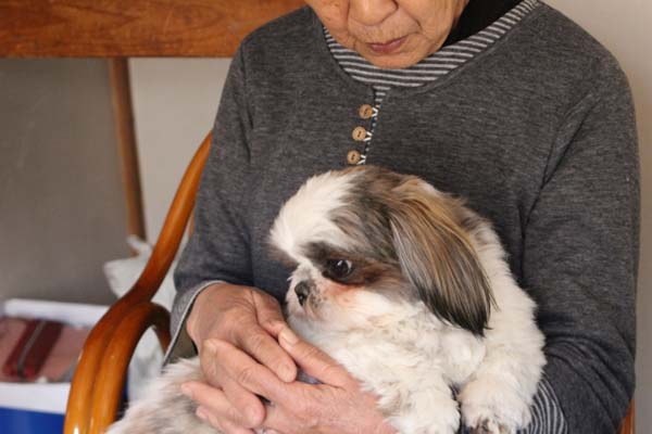 犬を飼うことがひとり暮らし高齢者のメンタルを改善する 日刊ゲンダイヘルスケア