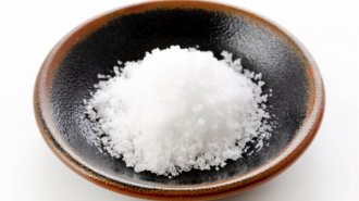 「減塩で長生きできる」のは本当か？ 世界的医学誌で検証