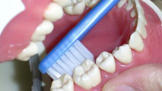 歯周病対策の歯磨きは1日1回でいい バイオフィルムを破壊
