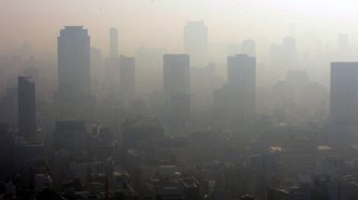 きれいな空気が長生きにつながる　PM2･5の低下で総死亡減