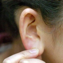 耳鳴りの9割が難聴 脳に入る音が減り脳が勝手に音を作り出す