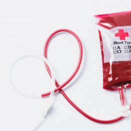 他の型の人に輸血可能な「O型」は万能血液 血液中の抗体と輸血のパターンは？