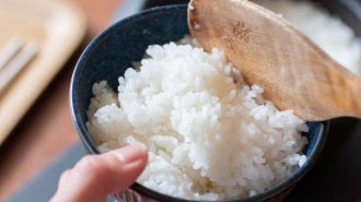 お米を食べる量は減っているのになぜ糖尿病は増えてるのか