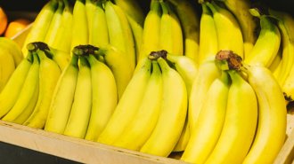 「青めのバナナ」で腸内環境を改善しストレスに強くなる
