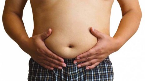 “小太り”が健康な理由は皮下脂肪で感染症を撃退するから 科学雑誌「サイエンス」で報告
