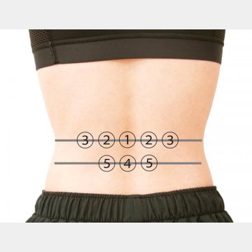 腰痛対策のツボ（背中側）