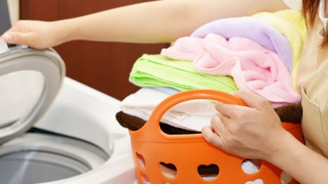 【コロモジラミ】感染症を媒介する危険 予防には入浴と洗濯が欠かせない