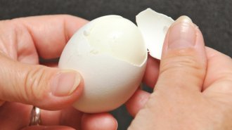 「卵」は高齢者の肝臓病リスクを減らす？ イタリアの研究報告